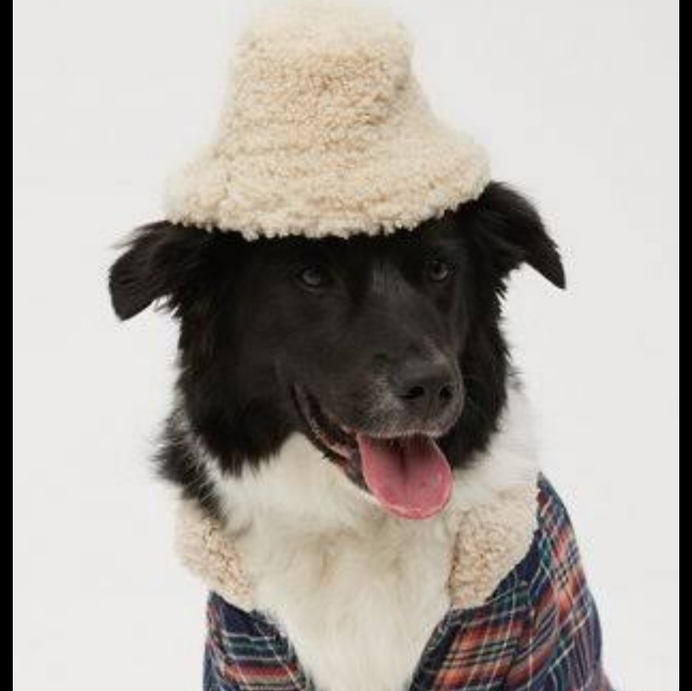 Aerie Dog Black Sherpa Hat Nwt Size Xs